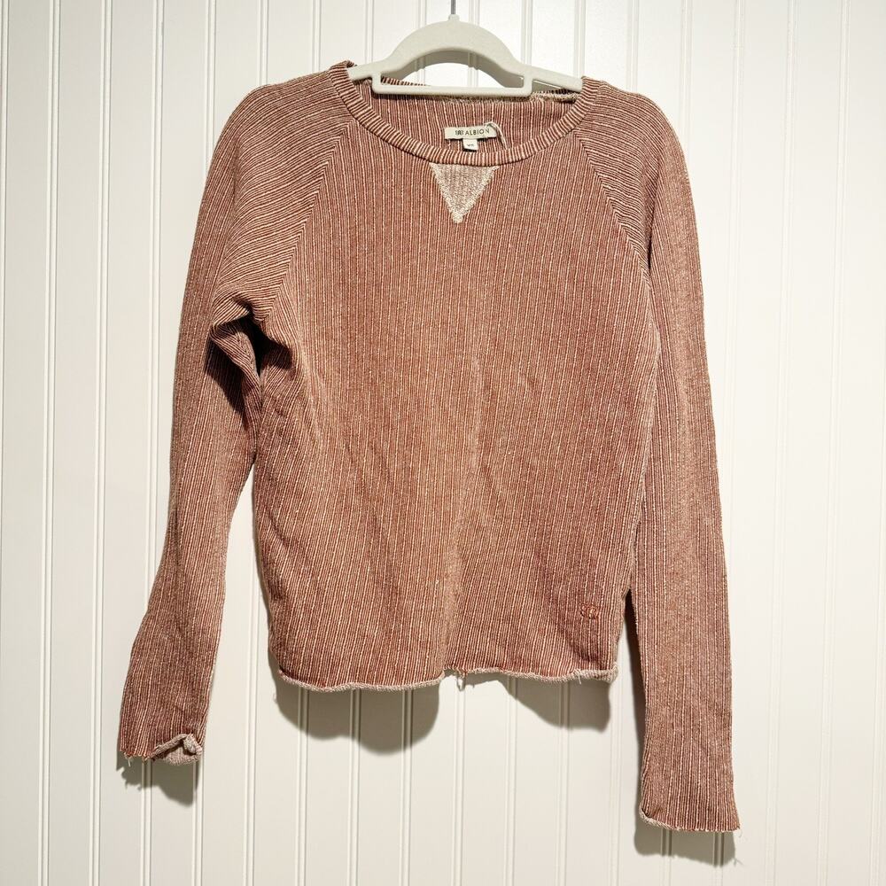 Albion Campus Crew Striped Long Sleeve Top Brown Size XS